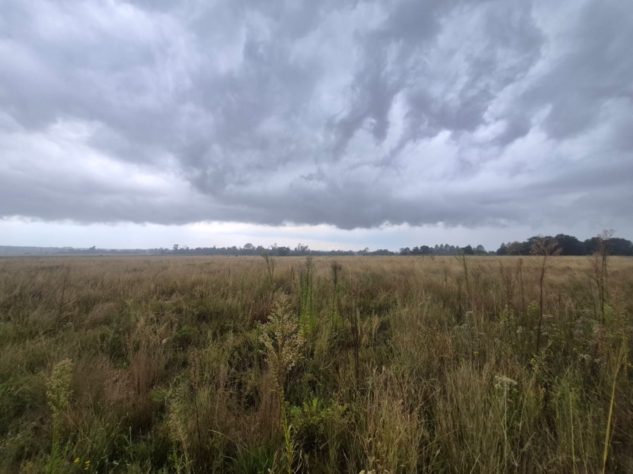 0 Bedroom Property for Sale in Vaalpark Free State